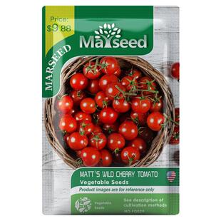 【掌柜推荐】稀有品种红醋栗甜豌豆马特野樱桃迷你小番茄种子籽孑