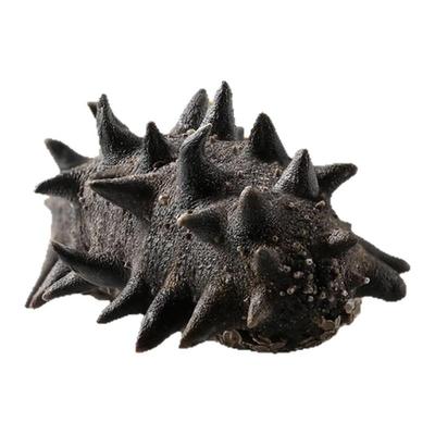 大连纯野生淡干海参礼盒