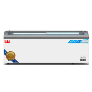 冰柜商用大容量冷柜冰箱冷藏展示柜保鲜冷冻两用岛柜卧式玻璃雪柜