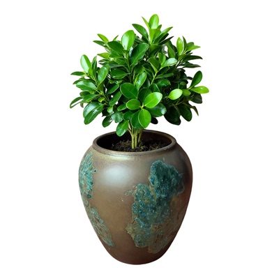 侘寂风粗陶圆口落地花盆