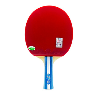 正品友谊729金三星儿童学生初学乒乓球拍双面反胶横直拍单支 包邮