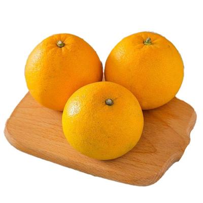 正宗三十年老树常山胡柚