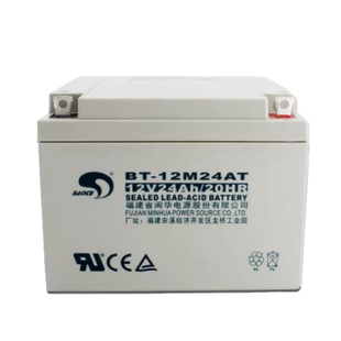 海湾GST松江利达天成泰和安消防主机EPS应急报警备用蓄电池BT-12M