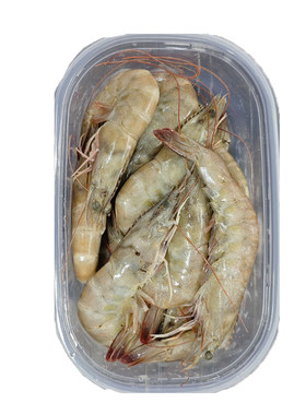 大连盐田海虾，冷冻发出