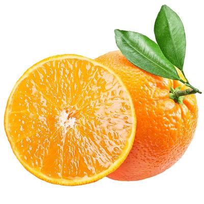 【5A品质】正宗爱媛38号果冻橙