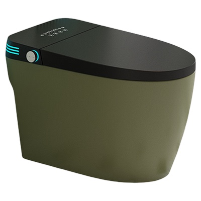 德国DearSmart橄榄绿智能马桶