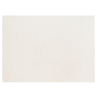 防水防污大地毯客厅纯色定制沙发茶几卧室家用免洗可擦轻奢高级感