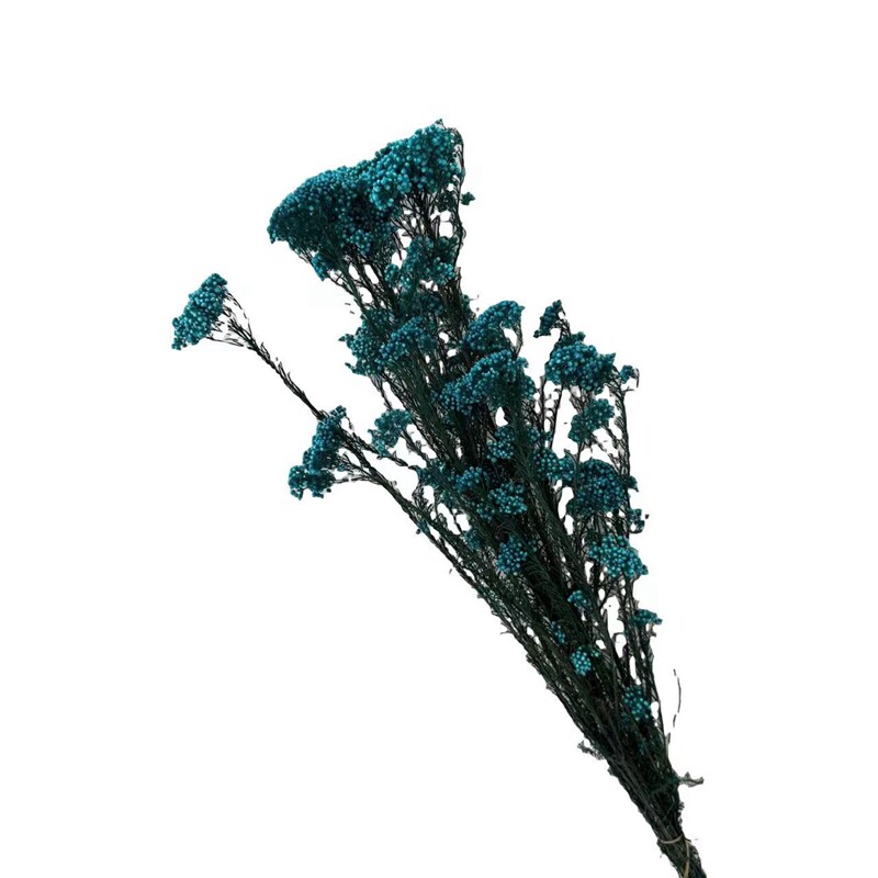 永生小米花   永生花束  天然植物干花客厅装饰摆放花材包邮