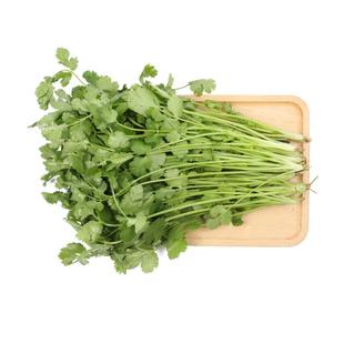 【小汤山】香菜 约70g 新鲜蔬菜当天采摘北京农场顺丰到家