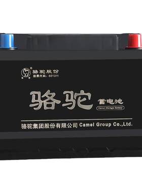 骆驼汽车电瓶适配五菱宝骏长安雪佛兰比亚迪大众朗逸等12V蓄电池