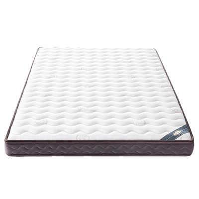 0胶水0异味黄麻椰棕床垫硬垫子