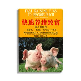 快速养猪致富适用iPadAir5/4平板保护套2022版10.9寸2021壳10.2寸书本式mini6趣味11寸Air2创意9.7英寸mini5