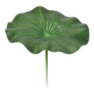 江南可采莲演出服女儿童古典舞练功服鱼戏莲叶间入莲间池上舞蹈服