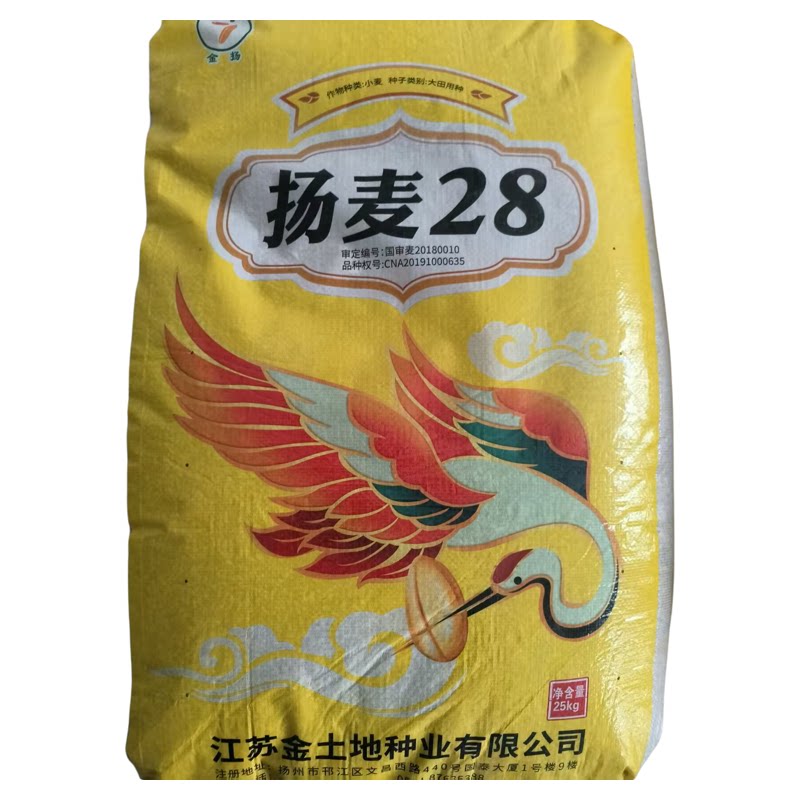 国审优质小麦种子扬麦28浙江苏上海安徽淮南信阳湖北中南部种植