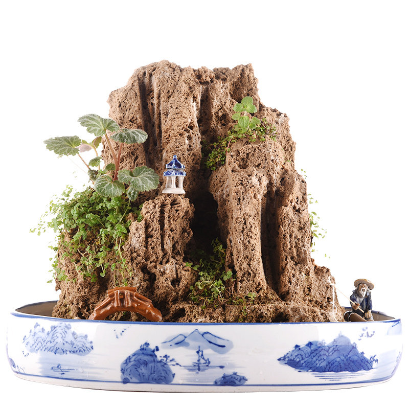 吸水石假山盆景原石头上水石微景观造景奇石观赏石搭配装饰小摆件