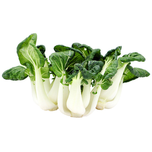 有机汇有机矮脚黄白菜 奶白菜新鲜有机蔬菜配送火锅菜食材无农残