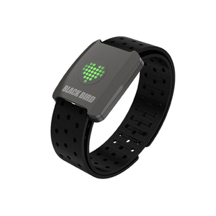 BlackBird黑鸟HR5心率臂带防水蓝牙心率监测运动跑步骑行踏频器