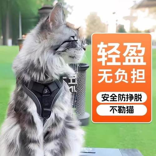 猫咪牵引绳缅因猫防挣脱可调节背心式溜猫神器不勒脖外出专用胸背