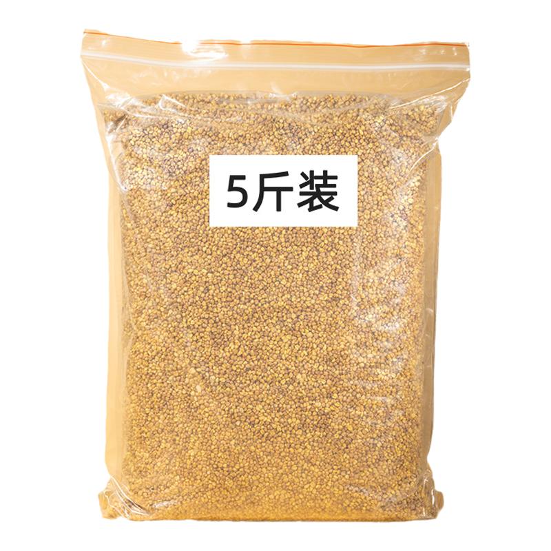 箐风峤韵苦荞茶大凉山荞麦茶四川