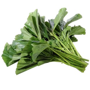 冬寒菜种子糯米冬寒菜其菜冬苋菜种秋冬耐寒阳台盆栽蔬菜农家菜籽