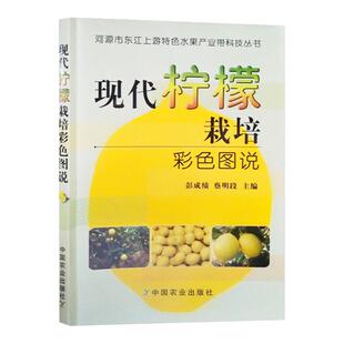 柠檬种植技术 现代柠檬栽培彩色图说 彭成绩柠檬树栽培种植技术大全书籍果树修剪整形果园管理病虫害防治施肥管理百科知识大全