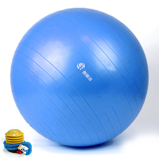 加厚防爆瑜伽球 瘦身瑜伽大球运动孕妇球分娩郑多燕减肥球愈加球