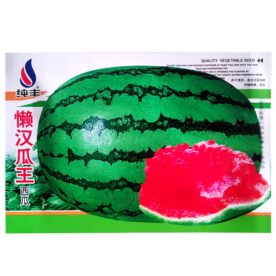 懒汉瓜王西瓜种子巨型水果