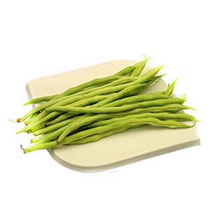 无筋架豆王种子泰国无筋豆种籽长芸豆豆角四季豆青豆四季蔬菜包邮