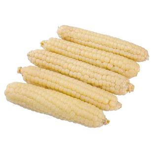 云南拇指玉米种籽甜糯水果小玉米种子高产杂交正品玉米种孑大全