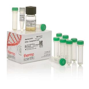 DH5α Competent Cells蛋白分析 thermofisher上海生物网 EC0112
