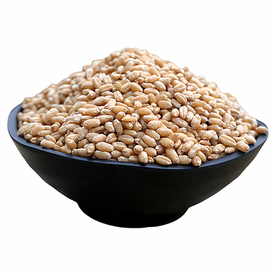 农家自种2025年新小麦原产地发货