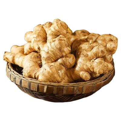 正宗云南新鲜小黄姜生姜干老姜嫩姜土姜子姜现挖高山沙姜5斤包邮