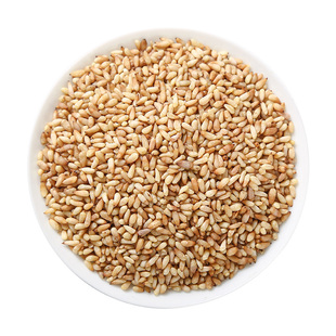 柏子仁500g250gg100克中药材包柏子仁泡茶柏子仁粉柏实另售酸枣仁