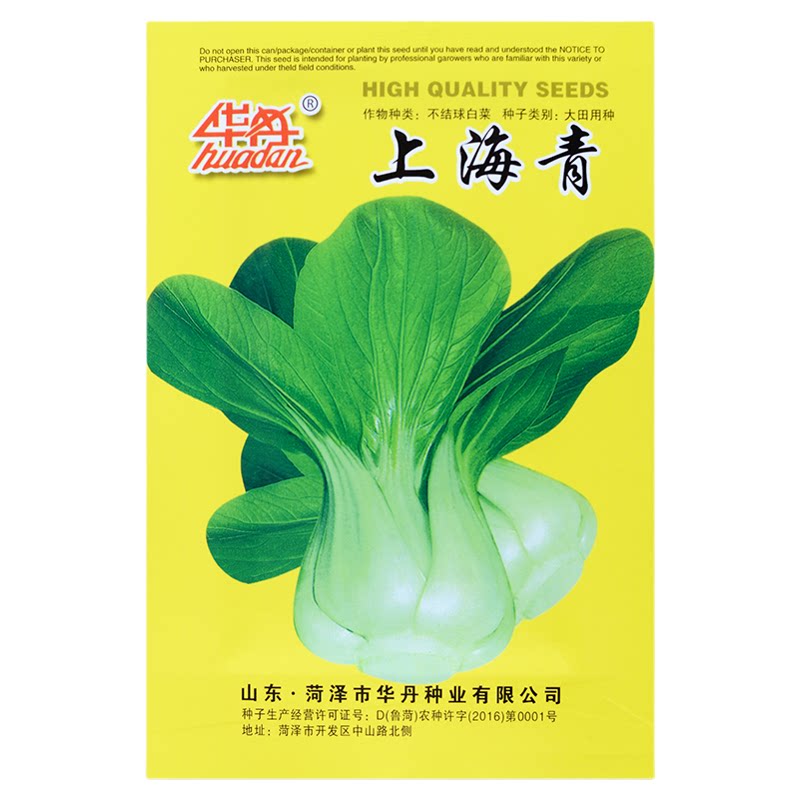 上海青种子四季播种菜园盆栽小油菜青梗菜种籽四季小青菜种子大全