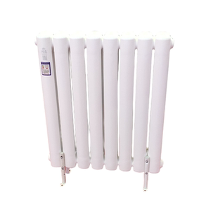 家用暖气片壁挂式碳钢双柱钢二柱加厚防腐承压式集体供暖土暖气