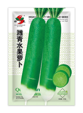 潍县青水果萝卜种子青脆爽口青皮