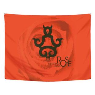 二手玫瑰摇滚乐队挂布音乐节演唱会应援挂旗背景布音乐俱乐部墙布