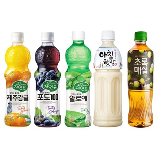 韩国进口熊津饮料糙米汁芦荟汁橙汁葡萄汁青梅汁果汁饮料原装