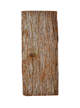 树皮杉树皮晾干拍摄背景手工道具拍照场景装饰农家乐树皮包管树皮