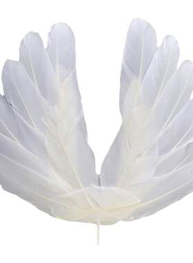 恶魔羽毛过生日派对情景蛋糕装饰