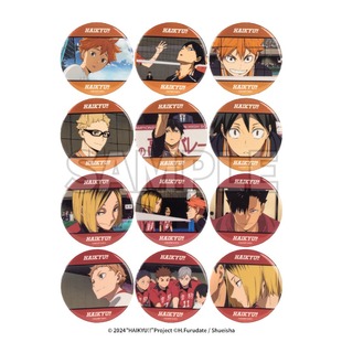 【年终狂欢】排球少年垃圾场决战场面写马口铁徽章盲盒全12款