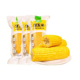 开袋即食东北水果甜玉米2025新鲜轻食免煮玉米段真空包装早餐粗粮