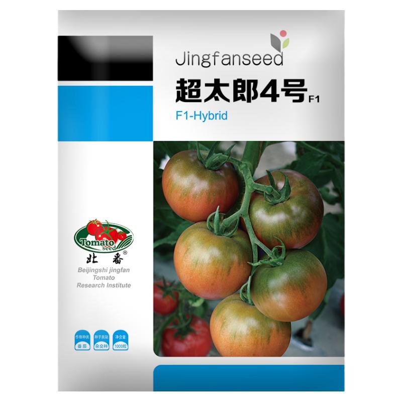 草莓番茄种子超甜番茄苗沙瓤东北铁皮柿子种籽大田水果西红柿种孑