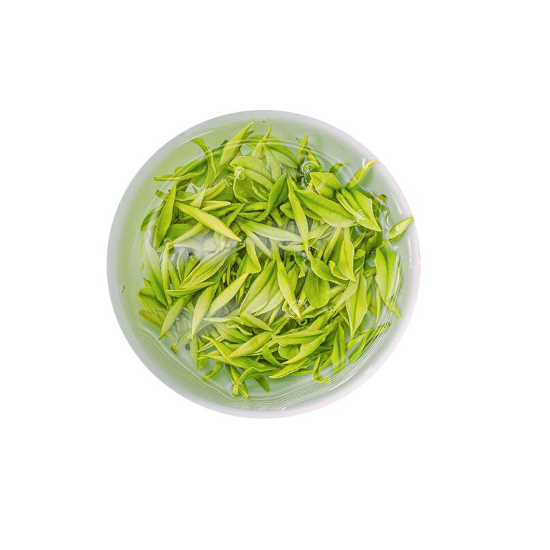 2026年新茶安吉白茶250g春季绿茶珍稀散装明前特级正宗高山茶叶