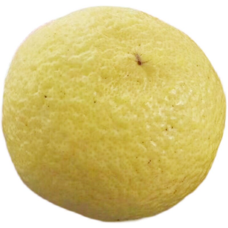 正宗象山青柑橘纯甜无酸春香柚黄金贡柚当季宁波新鲜水果不上火