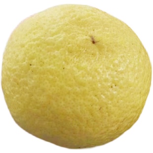 正宗象山青柑橘纯甜无酸春香柚黄金贡柚当季宁波新鲜水果不上火