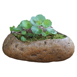天然石头花盆原石多肉花盆创意个性石头绿植盆栽阳台庭院花器石盆