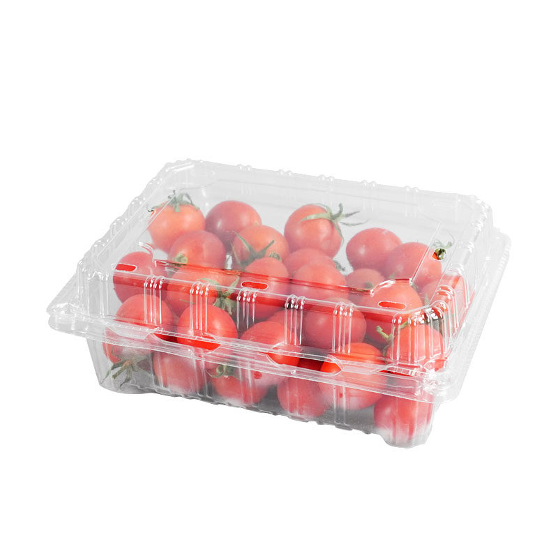一次性超市打包蔬菜商用水果盒