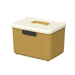 密码箱带锁收纳盒车载办公桌面贵重物品整理箱储物盒小型密码锁箱