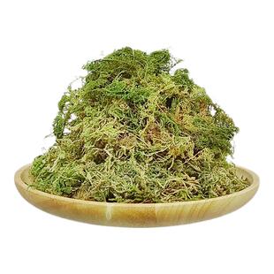 蝴蝶兰专用水苔青苔干苔藓花盆兰花土种植松树皮保水保肥疏松透气